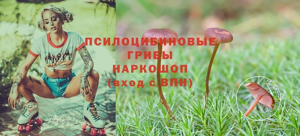 твердый Белоозёрский